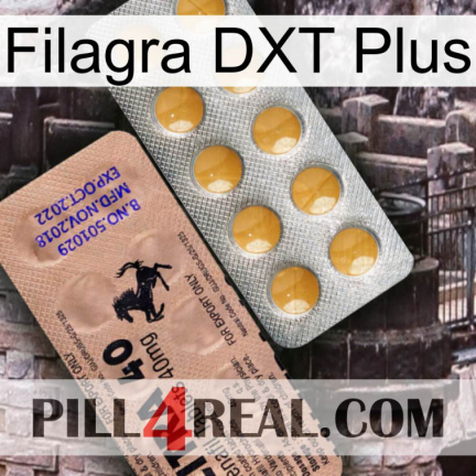 Filagra DXT Plus 41